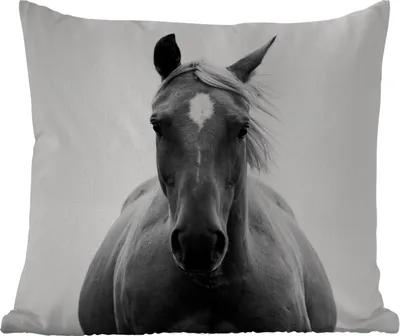 Produktbild von MuchoWow® Outdoor Kissen - Pferd - Schwarz - Weiß - Porträt - 40x40 cm - Wetterfest - Lounge Kissen - Kopfkissen - Interieur - Polster mit Bild