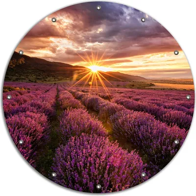 Produktbild von Wallario rundes Outdoor-Poster für Garten oder Balkon, Motiv Lavendelfeld bei Sonnenuntergang - Sonnenstrahlen, 90 cm Durchmesser