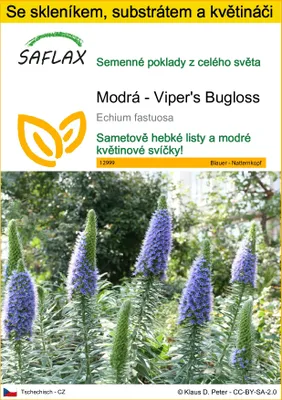 Obrázek produktu pro SAFLAX Kultivační sada - Modrá - Viper's Bugloss - Echium fastuosa - 100 Semena - S mini skleníkem, pěstebním substrátem a 2 květináči