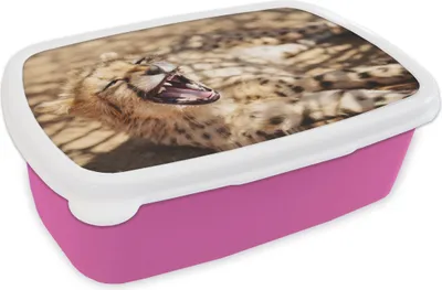 Produktbild von KitchenYeah® Lunchbox Brotzeit Brotdose 17x11 cm Gepard - Tier - Nahaufnahme Kinder Brotzeitdose - Lunchpaket - Brotkasten  - Sandwich Box