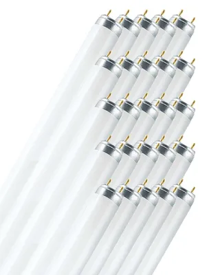 Imagen del producto de Osram L 36 W/840, 36 vatios, 3350 lúmenes