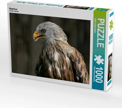Produktbild von Calvendo Rotmilan 1000 Teile Puzzle quer 640x480mm, Lindert-Rottke Antje; 7454975