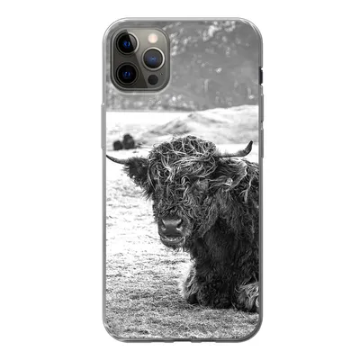 Produktbild von MuchoWow® Handyhülle Schutzhülle Hülle für iPhone 13 Pro Max Schottischer Highlander - Berg - Tiere Silikon Softcase Handy Hülle - Mobiltelefon