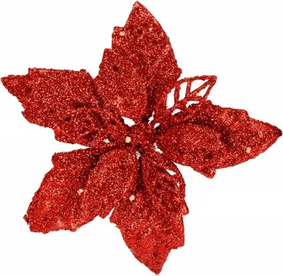 Image de Étoile de Noël avec épine 13 x 13 cm rouge, décoration de Noël