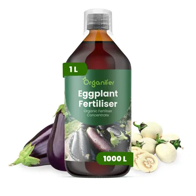 Obrázek produktu pro Baklažán Tekuté Hnojivo 1 L – 2-1-8 NPK – Pro Zeleninu – Pro Zdravé Listy & Bujné Plody – Podporuje Kořeny & Vitalitu – Organifer