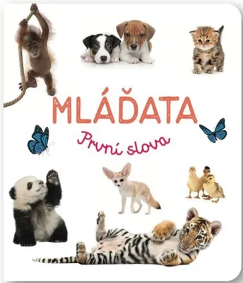 Obrázek produktu pro Mláďata - První slova