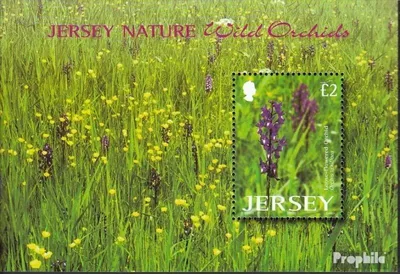 Produktbild von Briefmarken GB - Jersey 2003 Mi Block38 (kompl.Ausg.) postfrisch Orchideen