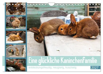 Produktbild von Eine glückliche Kaninchenfamilie (Wandkalender 2027 DIN A4 quer), CALVENDO Monatskalender