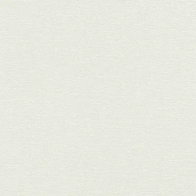 Produktbild von Vliestapete 804546 Uni weiß strukturiert 10,05mx0,53m
