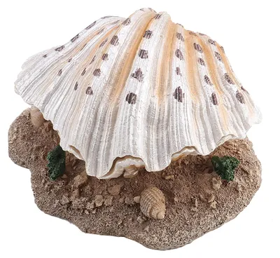 Aquariumdekoration Korallenriff, Harz, 9,3x12,5x8 cm