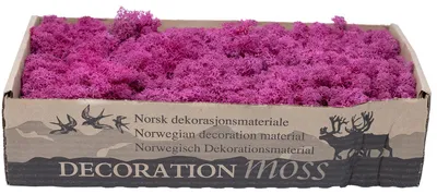 Produktbild von Karton Islandmoos Erika 500g