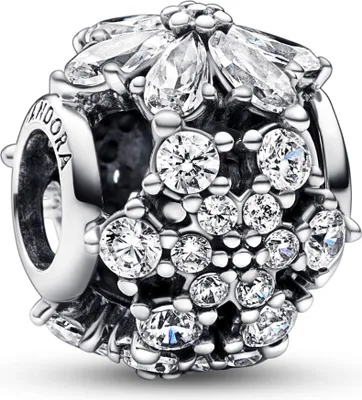 Produktbild von Pandora Charm 792383C01 Round Herbarium Cluster in 925 Sterling Silber