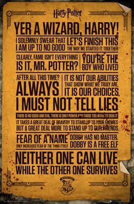 Produktbild von Harry Potter - Poster - Quotes