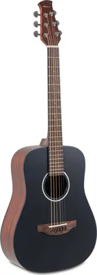 Produktbild von APPLAUSE by OVATION AAT96-4S Wood Travel