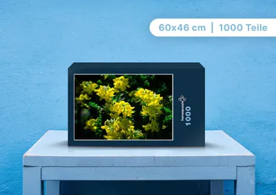 Produktbild von hansepuzzle 96205 - Blumen Puzzle, 1000 Teile, Natur, 60,0 x 46,0cm mit hochwertiger Aufbewahrung, Kartonbox und wiederverschließbarem Beutel