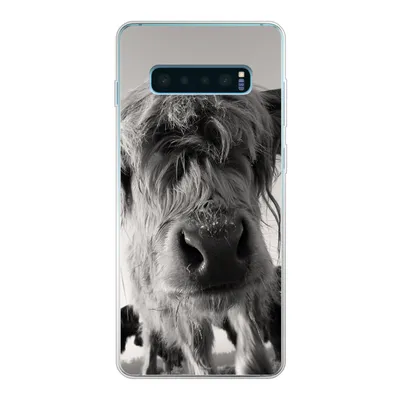 Produktbild von MuchoWow® Handyhülle Schutzhülle Hülle für Samsung Galaxy S10 Plus Schottischer Highlander - Schwarz - Weiß - Tiere Silikon Softcase Handy Hülle - Schutzhülle