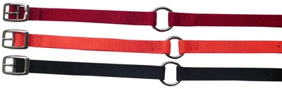 Produktbild von Hundehalsband Prism Select aus Nylon 2,5 cm breit  Halsband für Hunde  Halsband Hund in Schwarz & 17
