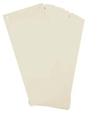 Obrázok produktu pre EXACOMPTA 13375B EXACOMPTA Trennstreifen Premium, 105 x 240 mm, chamois