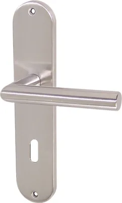 A stainless steel door handle with a long escutcheon plate, shown against a white background.
