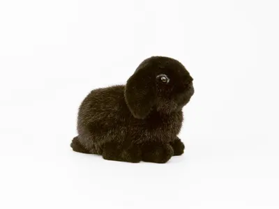 Produktbild von Kösen Hase Zwergwidder schwarz 18 cm Stofftier