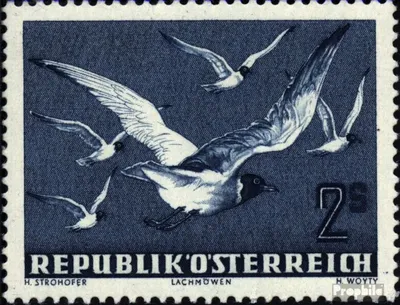 Produktbild von Briefmarken Österreich 1950 Mi 956 gestempelt Flugpost-Ausgabe