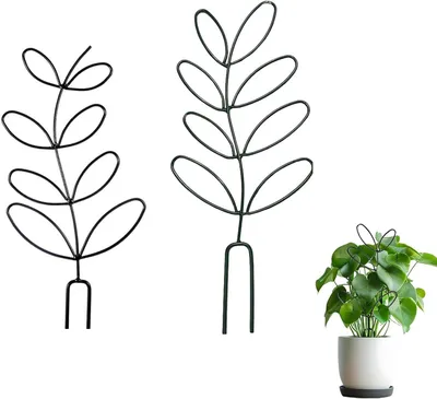 Productafbeelding van Metalen klimhulp, 2 stuks, voor kamerplanten, plantensteun