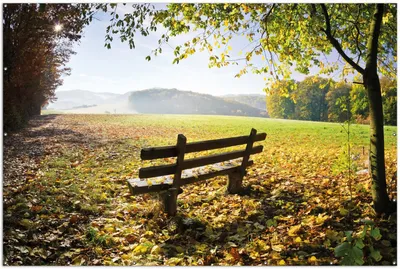 Produktbild von Wallario XXL Outdoor-Poster für Garten oder Balkon, Motiv Idyllische Holzbank in den Bergen, in ca. 300 x 200 cm