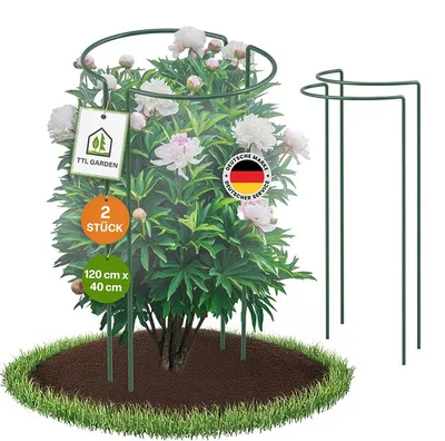 Produktbild von TTL GARDEN Strauchstützen 120x40cm 2er Set Pflanzenstütze Stahl grün