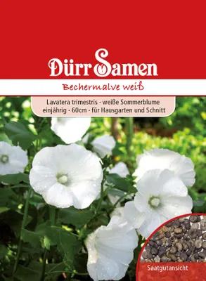 Produktbild von Bechermalve weiß | Bechermalvensamen von Dürr Samen