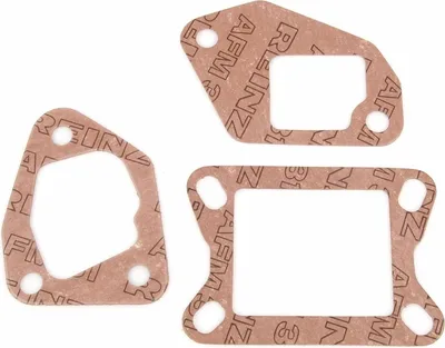 Immagine prodotto di Set guarnizioni collettore di aspirazione Malossi per Vespa, ricambio per M1610901