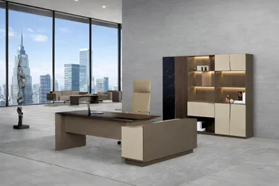 Image de Ensemble exclusif pour bureau : bureau robuste et élégante bibliothèque