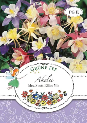 Produktbild von Akelei Mrs. Scott Elliot Mix | Akeleiensamen von Grüne Fee
