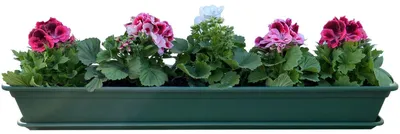 Produktbild von Blumenkasten Balkonkasten Pflanzkasten Grün mit Bewässerungssystem und Balkonkasten Untersetzer 100cm