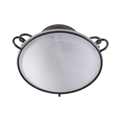 A ceiling lamp with a white glass shade and a dark metal frame.