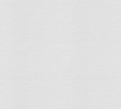 Obrázek produktu pro A.S. Création netkaná tapeta Meistervlies Pro Protect 2, bílá, malovatelná, 25,00 m x 1,06 m, 246110, 2461-10