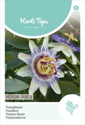 Produktbild von Passionsblume | Blumensamen von Hortitops