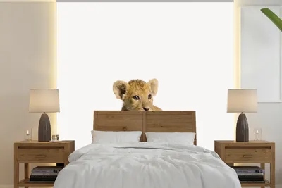 Produktbild von MuchoWow® Fototapete für Wohnzimmer oder Schlafzimmer Wandtapete Vinyl Motivtapete Tiere - Löwe - Jungtier - 280x280 cm - Hintergrundbild