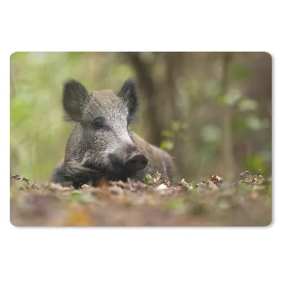 Produktbild von MuchoWow® Schreibtischunterlage Wildschwein - Wald - Tier 60x40 cm - XXL Mauspad - Großes Mauspad