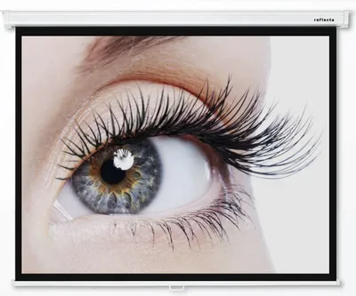 Produktbild von 4:3 reflecta CrystalLine Heimkino Beamer Rolloleinwand 160 x 129 (156x117)cm (87685)  / Gehäuselänge 175 cm / / FULL HD / 3D / 4K / HDTV