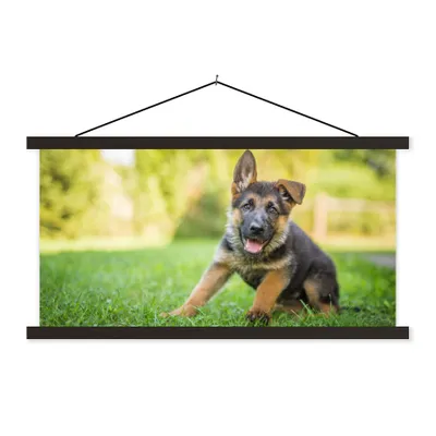 Produktbild von MuchoWow® Textilposter Welpe sitzt im Gras 150x75 cm mit schwarzem Rahmen - Posterleiste