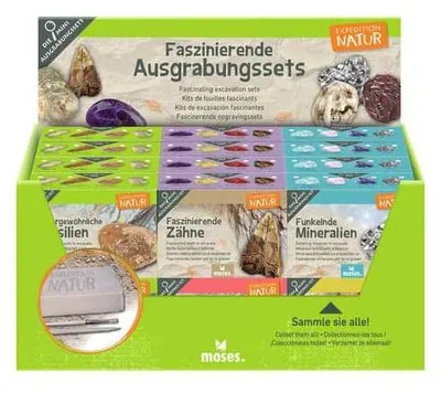 Produktbild von Mini-Ausgrabungsset Expedition Natur, sortiert, 1 von 6 Themen, ab 6 Jahren