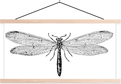 Produktbild von MuchoWow® Textilposter Eine Illustration einer schwarzen Libelle auf weißem Hintergrund 60x30 cm mit holzfarbenen Rahmen - Dekoration