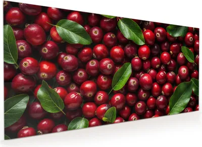 Produktbild von Küchenrückwand Spritzschutz Glas mit Motiv Frische Preiselbeeren 40 x 40 cm