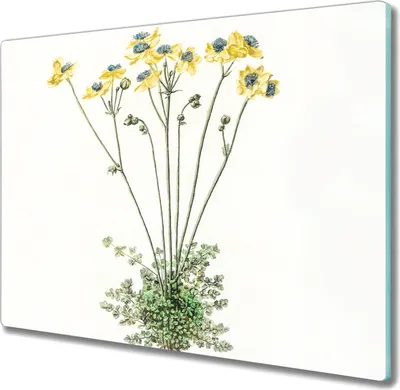 Produktbild von Coloray Schneidebrett Herdabdeckplatte 60x52 cm Kochplattenabdeckung Hackbrett Küchenbrett - Blumen Pflanzen