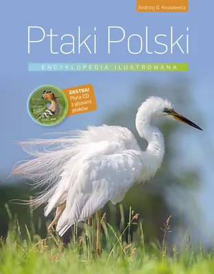 Zdjęcie produktu dla Ilustrowana encyklopedia Ptaki Polski