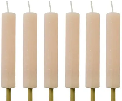 Imagen del producto de Juego de 6 antorchas "Cactula" para exteriores, sin vela – Ø3.8 x 20 cm – Tiempo de combustión: 10 horas – Velas rústicas para jardín