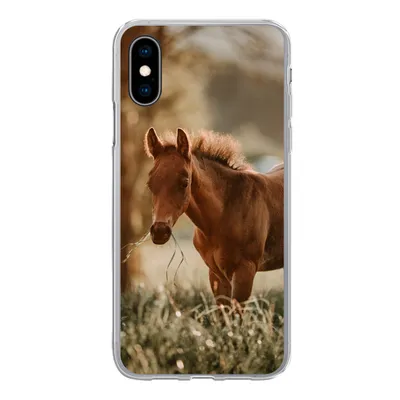 Produktbild von MuchoWow® Handyhülle Schutzhülle Hülle für iPhone X Pferd - Licht - Wiese Silikon Softcase Handy Hülle - Handyhülle