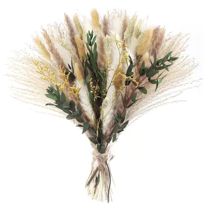 75er Set getrocknete Blumen, Pampasgras, 43 cm, Dekoration