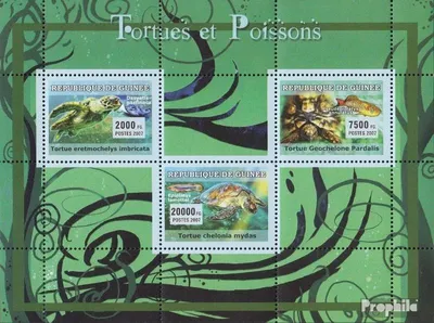 Produktbild von Briefmarken Guinea 2007 Mi 4674-4676 Kleinbogen (kompl. Ausgabe) postfrisch Schildkröten, Fische