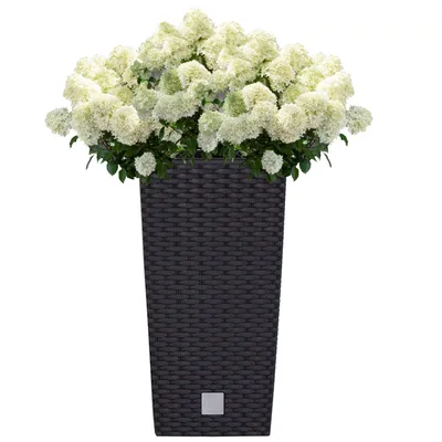 Produktbild von Blumenkübel 49 L Rattan-Optik Anthrazit Pflanzkübel h. 61 cm mit Innenkasten 21 L quadratisch Übertopf aus Kunststoff